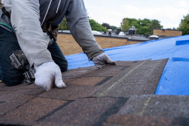 Best Chimney Flashing Repair  in Easton, CA